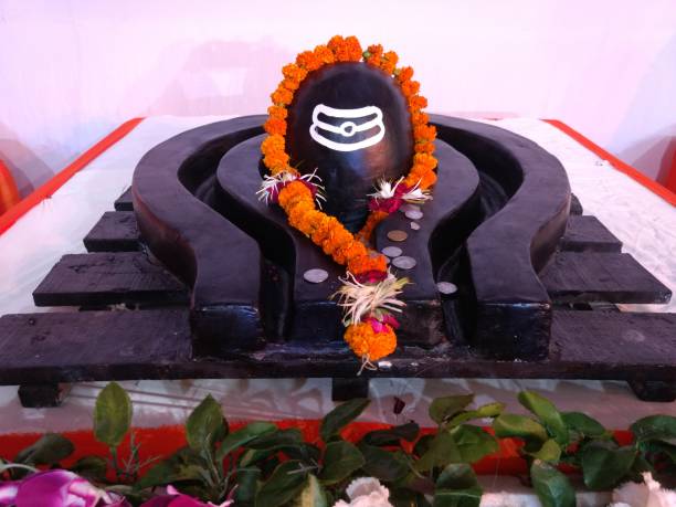 Donation Image